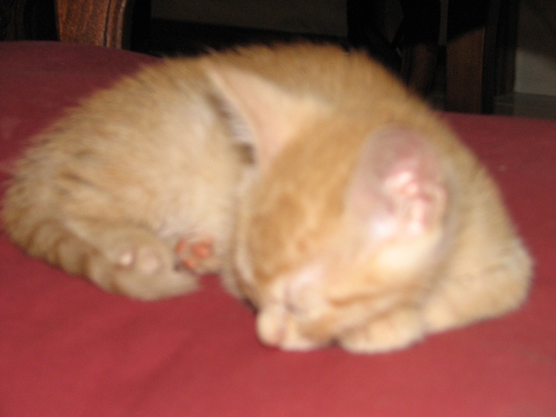 20100206 447.JPG